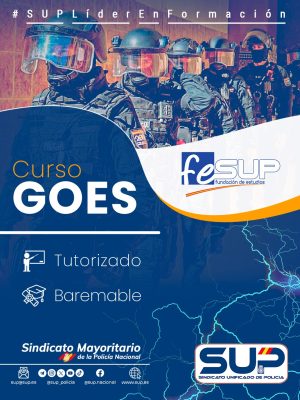 CURSO GOES (Afiliados SUP / Asociados feSUP)